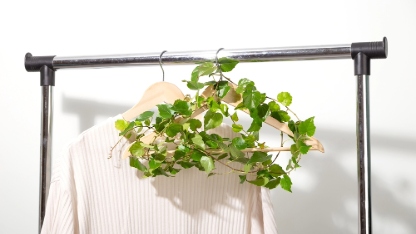 Empty clothes hanger entwined with green plant hanging on plain next to single t-shirt on white wall. Conscious consumption slow fashion concept. Sustainable eco lifestyle conceptual art.