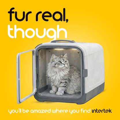 A cat sitting in an open pet dryer machine